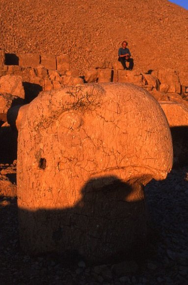Head of an eagle at dawn