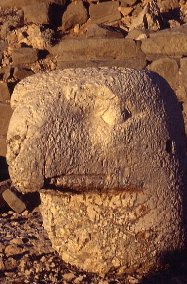 Colossal head of an eagle