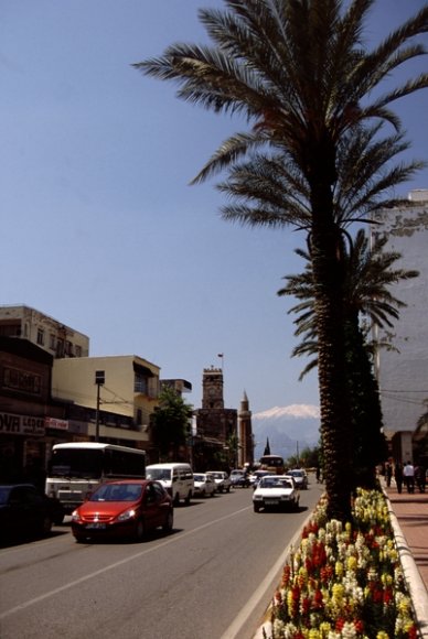 Antalya, Kaleiçi - Clock Tower and Palms