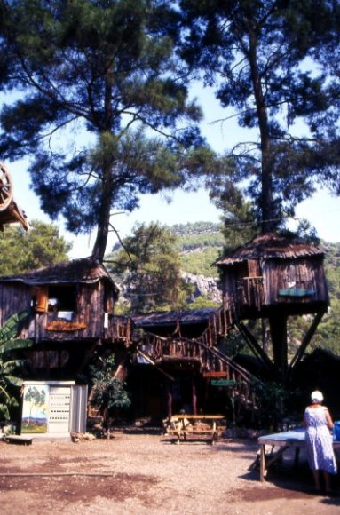 Antalya - Olympos - Tree houses