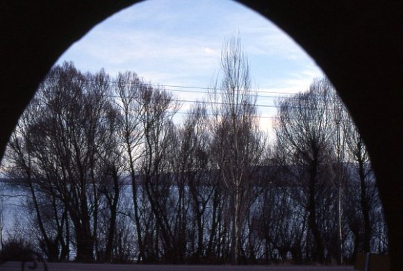 View from window