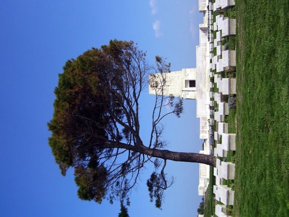 Gallipoli, Lone Pine - Gravestones