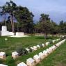 Pink Farm Cemetery
