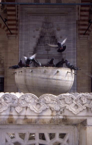 Edirne - Selimiye Mosque