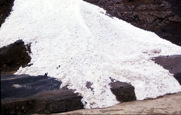 Avalanche