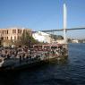 Ortaköy and Boshporus Bridge