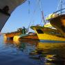 Foça - Fishermen boats