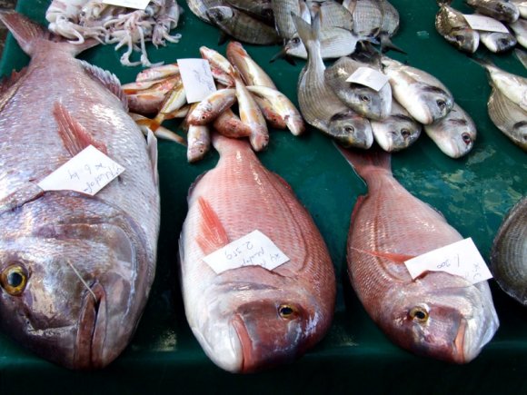 Foça - Fishes in fish market