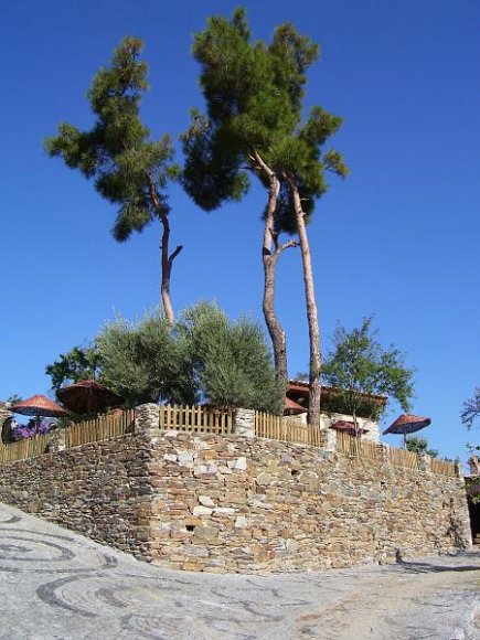 Front side