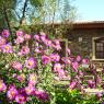 Muğla - Belen Cafe