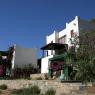 Bodrum - White bodrum houses