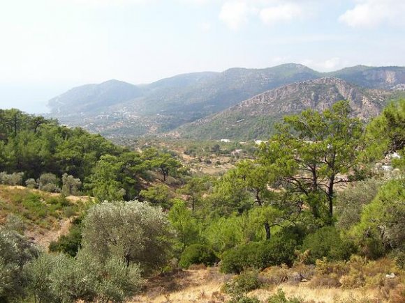Mesudiye