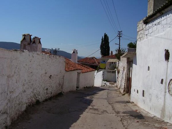 Muğla street