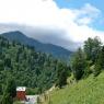 Ayder Plateau.