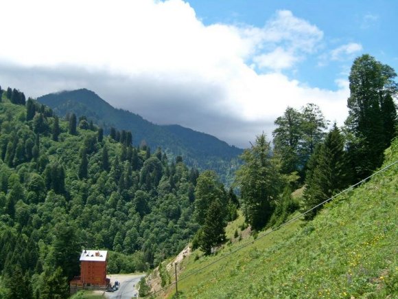 Ayder Plateau.