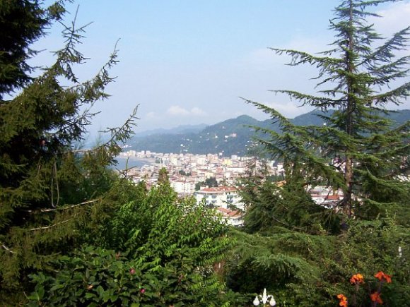 Rize