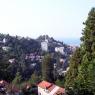 Rize