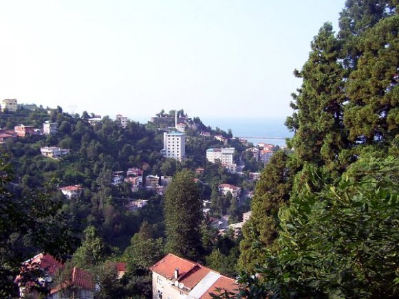 Rize