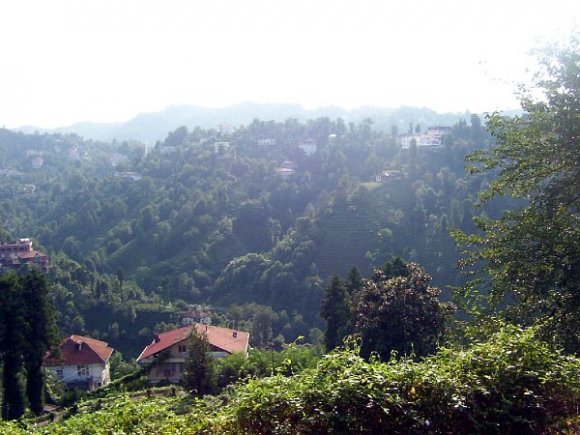 Rize