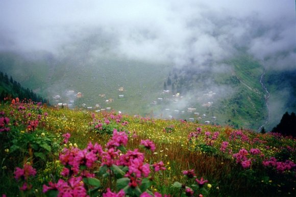 Kaçkarlar - Amlakit Plateau