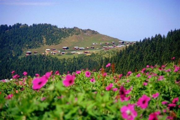 Kaçkarlar - Sal Plateau