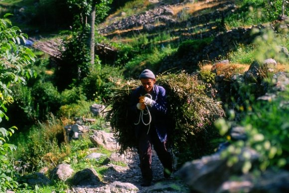 Kaçkarlar - A working man in Yusufeli