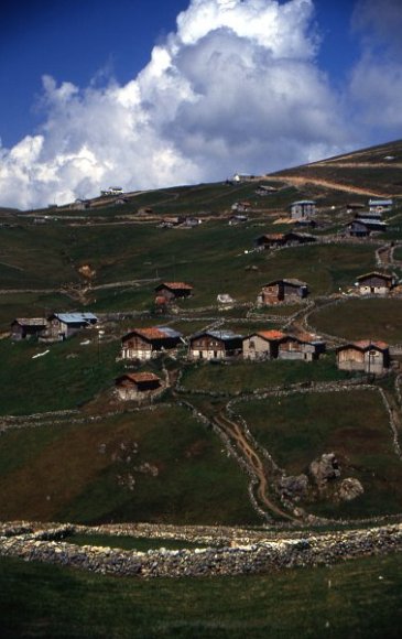 Houses in highland