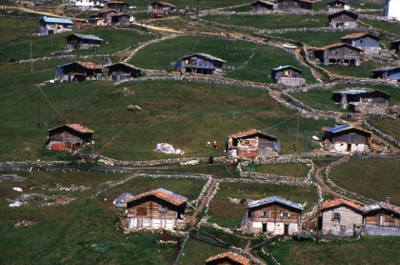 Houses in highland