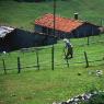 An old woman in her garden