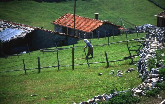 An old woman in her garden