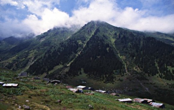 Houses in highland